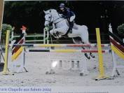 Ponette pour évoluer 1m10 -1m20 - 10 ans