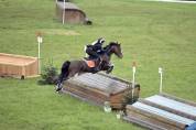 A vendre poney de gp cce